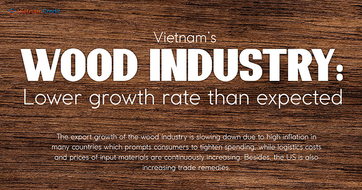 Vietnam’s wood industry: lower growth rate than expected